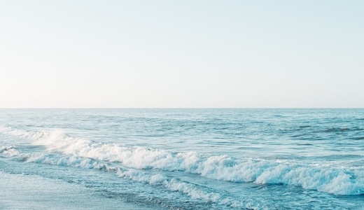 脱毛　湘南美容外科クリニック